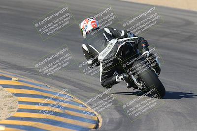media/Nov-12-2023-SoCal Trackdays (Sun) [[5d1fba4e7d]]/Turn 10 Backside (115pm)/